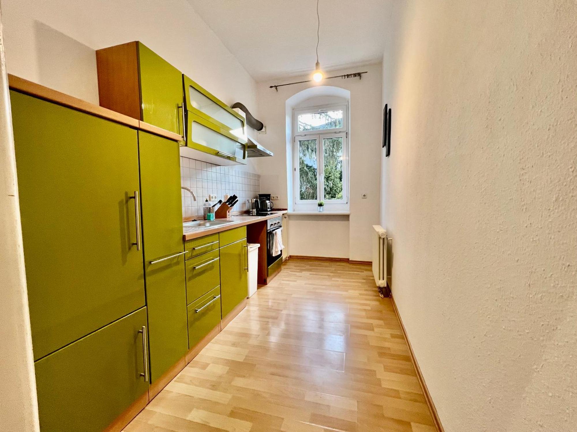 Dill Apartment Dresden Am Blauen Wunder Экстерьер фото